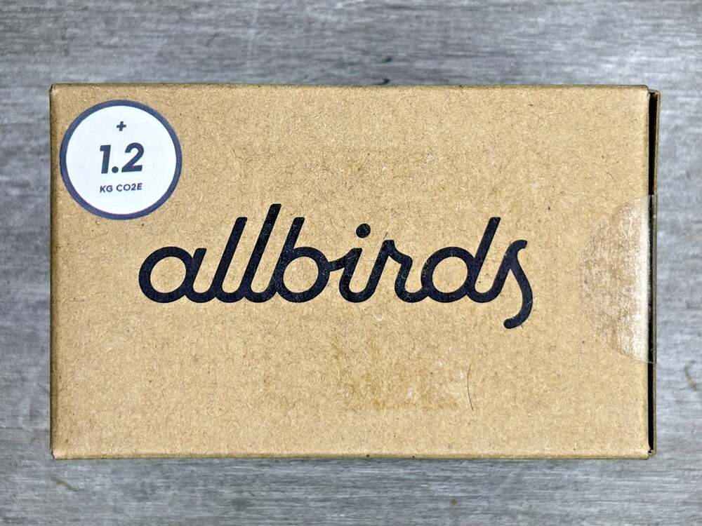 3 Pairs Allbirds Womens 3X Trino Thong Underwear Merino Wool Blend Raincloud - Picture 8 of 11